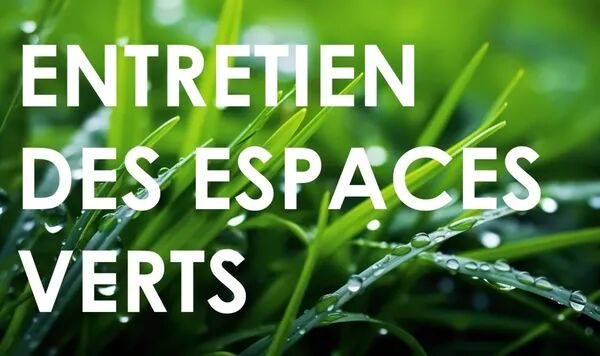 Entretien des espaces verts