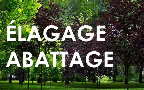 Elagage/abattage