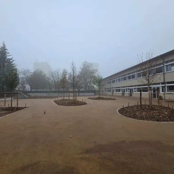 2024 - Vélizy - Végétalisation d'une cour d'école. 7 arbres, 114 arbustes, 70 plantes fruitières et aromatiques et environ 3000 plantes vivaces et couvre sol